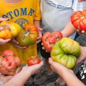 Ray Bradley’s farm festival on his farm near NewPaltz, NY