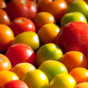 Ray Bradley’s farm festival on his farm near NewPaltz, NY