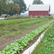 Ray Bradley’s barn and fields