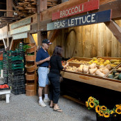 7th Annual Bradley Farm Festival near New Paltz