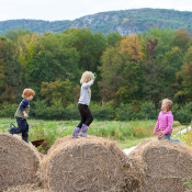 7th Annual Bradley Farm Festival near New Paltz