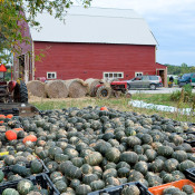 100926EFrossard_RayB_FarmFest_0168