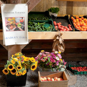 7th Annual Bradley Farm Festival near New Paltz