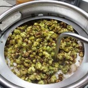 brewing hops