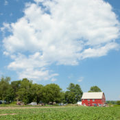 Bradley Farm Sunday Dinner, July 17, 2011