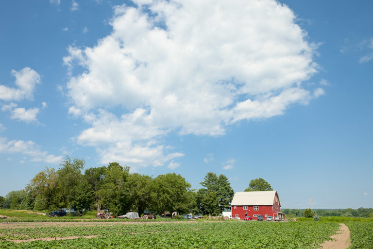 Bradley Farm Growing in New Paltz, NY Since 1995 · Certified