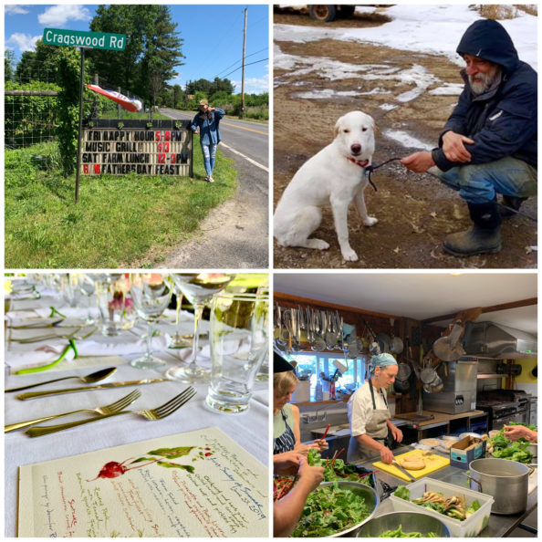 Week of 8/22 2022 Curbside Pick up Bradley Farm Growing in New